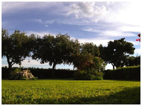 Pitomcia (adults Only) Podstrana